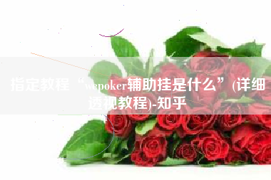 指定教程“wepoker辅助挂是什么”(详细透视教程)-知乎