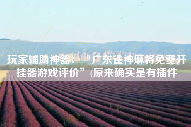 玩家辅助神器：“广东雀神麻将免费开挂器游戏评价”(原来确实是有插件