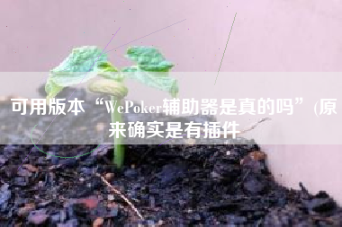 可用版本“WePoker辅助器是真的吗”(原来确实是有插件