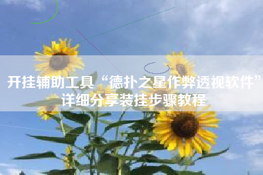 开挂辅助工具“德扑之星作弊透视软件”详细分享装挂步骤教程