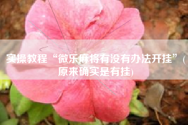 实操教程“微乐麻将有没有办法开挂”(原来确实是有挂)