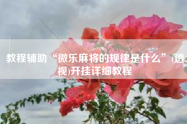教程辅助“微乐麻将的规律是什么”(透视)开挂详细教程