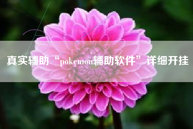 真实辅助“pokemon辅助软件	”详细开挂