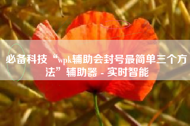 必备科技“wpk辅助会封号最简单三个方法”辅助器 - 实时智能