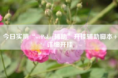 今日实测“wePoker辅助”开挂辅助脚本+详细开挂