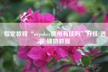指定教程“wepoker德州有挂吗”开挂(透视)辅助教程