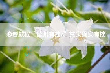 必看教程“德州有挂?”其实确实有挂