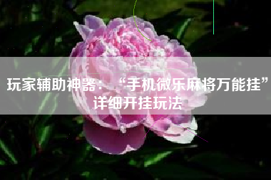 玩家辅助神器：“手机微乐麻将万能挂	”详细开挂玩法