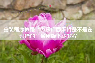 安装程序教程“微乐广西麻将是不是在开挂的”通用版下载教程