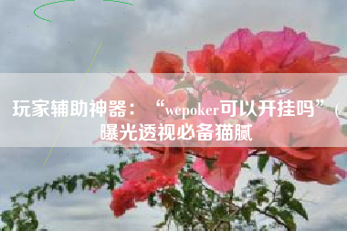 玩家辅助神器：“wepoker可以开挂吗”(曝光透视必备猫腻
