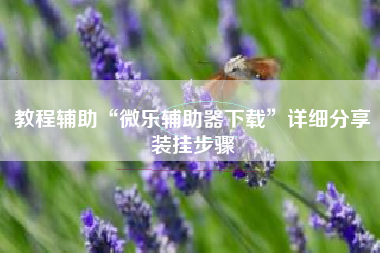 教程辅助“微乐辅助器下载”详细分享装挂步骤