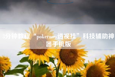 3分钟教程“pokernow透视挂”科技辅助神器手机版