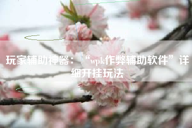 玩家辅助神器：“wpk作弊辅助软件	”详细开挂玩法