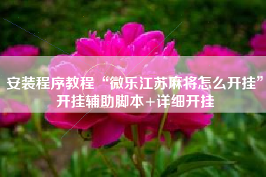 安装程序教程“微乐江苏麻将怎么开挂”开挂辅助脚本+详细开挂