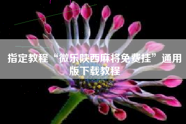 指定教程“微乐陕西麻将免费挂”通用版下载教程