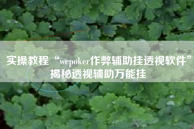 实操教程“wepoker作弊辅助挂透视软件	”揭秘透视辅助万能挂