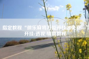 指定教程“微乐麻将万能开挂器免费ios”开挂(透视)辅助教程