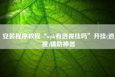 安装程序教程“wpk有透视挂吗	”开挂(透视)辅助神器