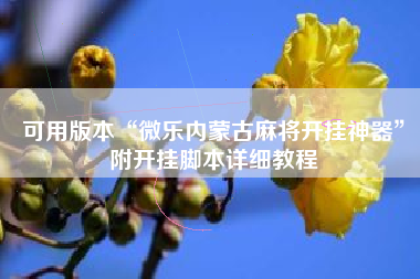 可用版本“微乐内蒙古麻将开挂神器”附开挂脚本详细教程