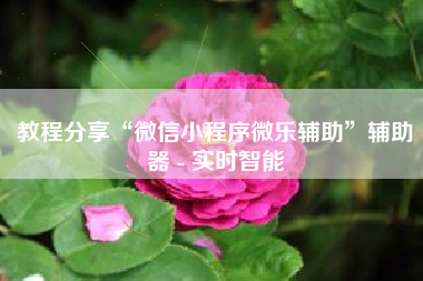 教程分享“微信小程序微乐辅助”辅助器 - 实时智能