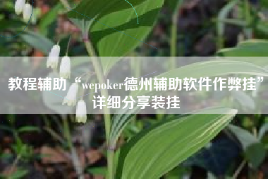 教程辅助“wepoker德州辅助软件作弊挂”详细分享装挂