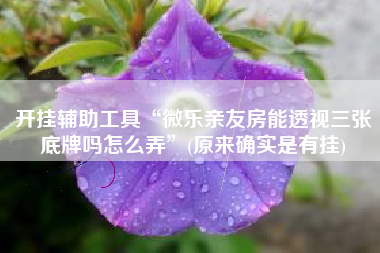 开挂辅助工具“微乐亲友房能透视三张底牌吗怎么弄”(原来确实是有挂)