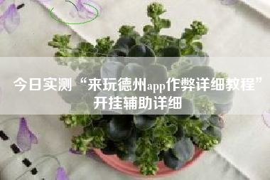 今日实测“来玩德州app作弊详细教程”开挂辅助详细