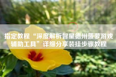 指定教程“深度解析智星德州菠萝游戏辅助工具	”详细分享装挂步骤教程