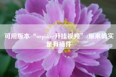 可用版本“wepoker开挂视频”(原来确实是有插件