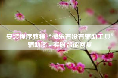 安装程序教程“微乐有没有辅助工具”辅助器 - 实时智能回复