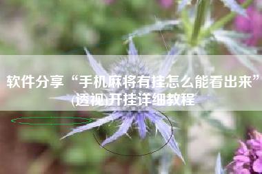 软件分享“手机麻将有挂怎么能看出来”(透视)开挂详细教程