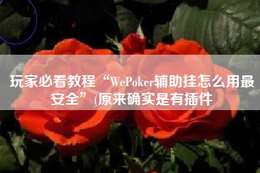 玩家必看教程“WePoker辅助挂怎么用最安全”(原来确实是有插件