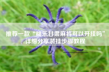 推荐一款“桃乐甘肃麻将可以开挂吗”详细分享装挂步骤教程