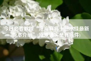 今日必看教程“沧海麻将十三水挂最新版本介绍”(原来确实是有插件)