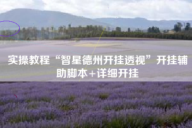 实操教程“智星德州开挂透视”开挂辅助脚本+详细开挂