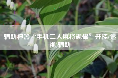 辅助神器“手机二人麻将规律”开挂(透视)辅助