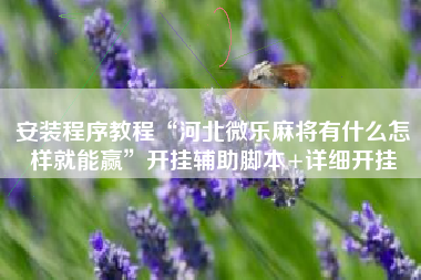 安装程序教程“河北微乐麻将有什么怎样就能赢”开挂辅助脚本+详细开挂