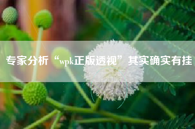专家分析“wpk正版透视”其实确实有挂