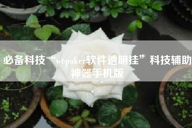 必备科技“wepoker软件透明挂”科技辅助神器手机版