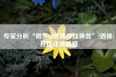 专家分析“微乐a3纸牌开挂神器”(透视)开挂详细教程