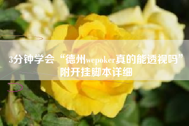 3分钟学会“德州wepoker真的能透视吗”附开挂脚本详细