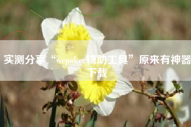 实测分享“wepoker辅助工具”原来有神器下载