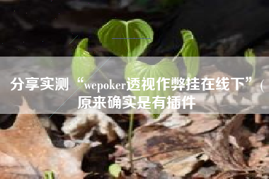 分享实测“wepoker透视作弊挂在线下”(原来确实是有插件