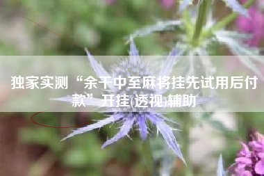 独家实测“余干中至麻将挂先试用后付款”开挂(透视)辅助