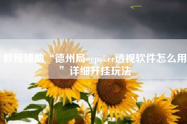 教程辅助“德州局wepoker透视软件怎么用”详细开挂玩法