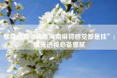 软件分享“琼崖海南麻将感觉都是挂”(曝光透视必备猫腻