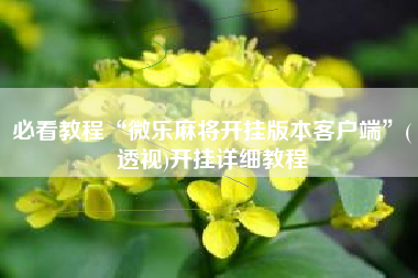 必看教程“微乐麻将开挂版本客户端	”(透视)开挂详细教程