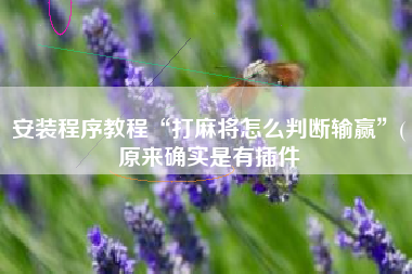 安装程序教程“打麻将怎么判断输赢”(原来确实是有插件