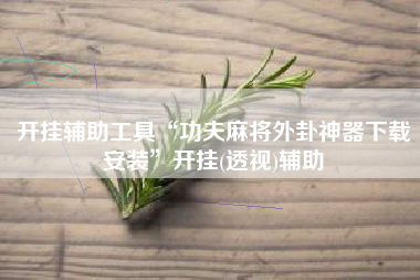 开挂辅助工具“功夫麻将外卦神器下载安装”开挂(透视)辅助