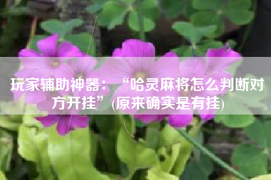 玩家辅助神器：“哈灵麻将怎么判断对方开挂”(原来确实是有挂)